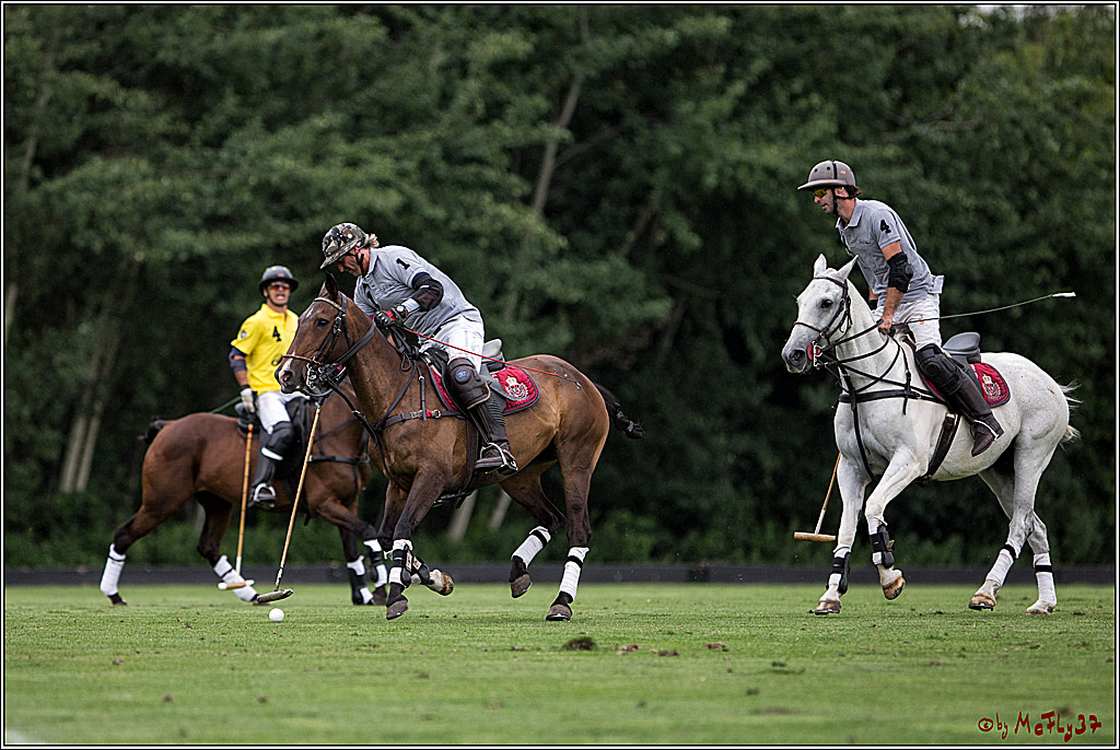 Polo Picknick Muenster 2017, 28.07.2017
