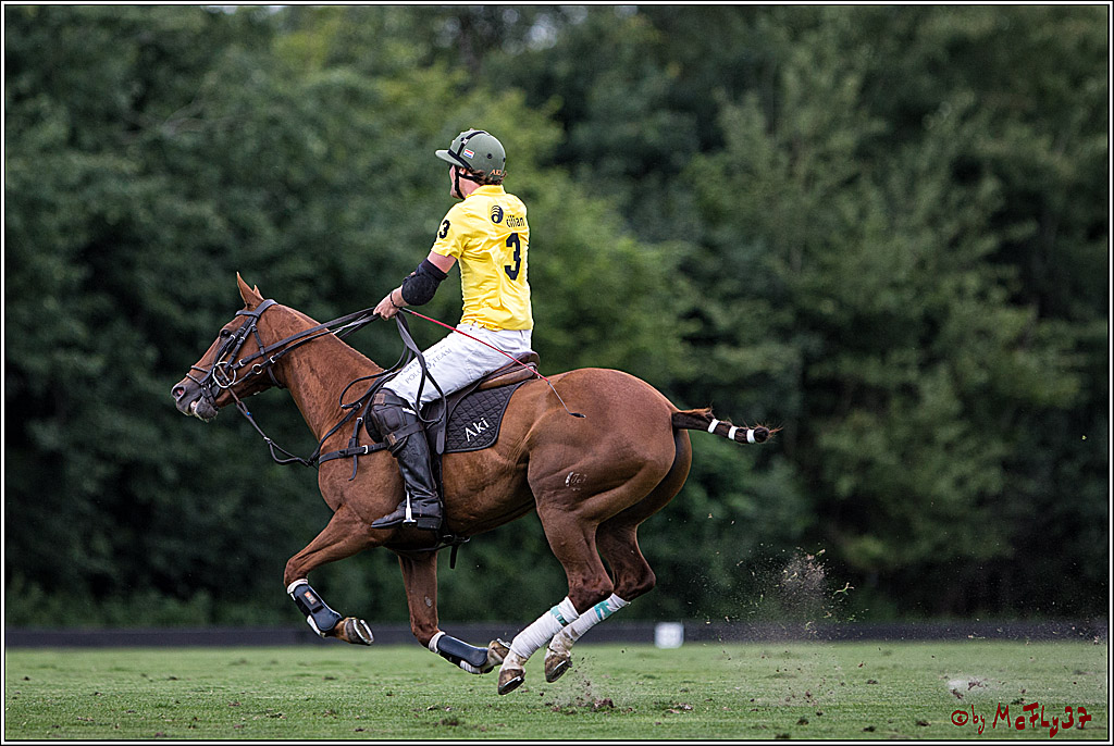 Polo Picknick Muenster 2017, 28.07.2017