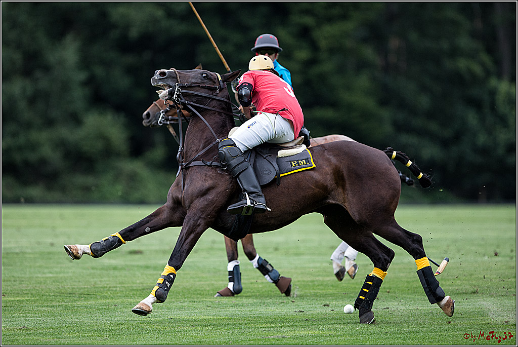 Polo Picknick Muenster 2017, 28.07.2017