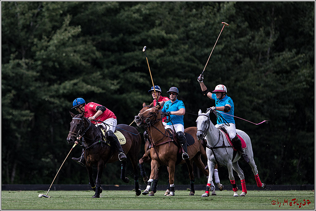 Polo Picknick Muenster 2017, 28.07.2017