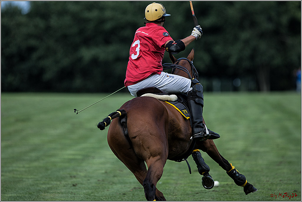 Polo Picknick Muenster 2017, 28.07.2017