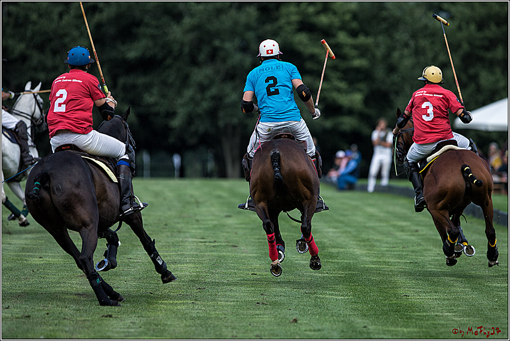 Polo Picknick Muenster 2017, 28.07.2017