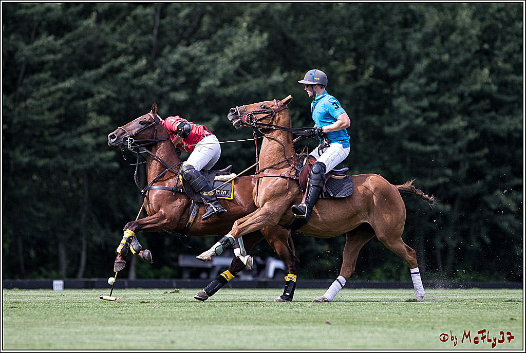 Polo Picknick Muenster 2017, 28.07.2017