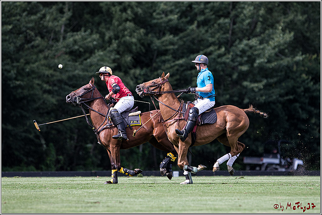 Polo Picknick Muenster 2017, 28.07.2017