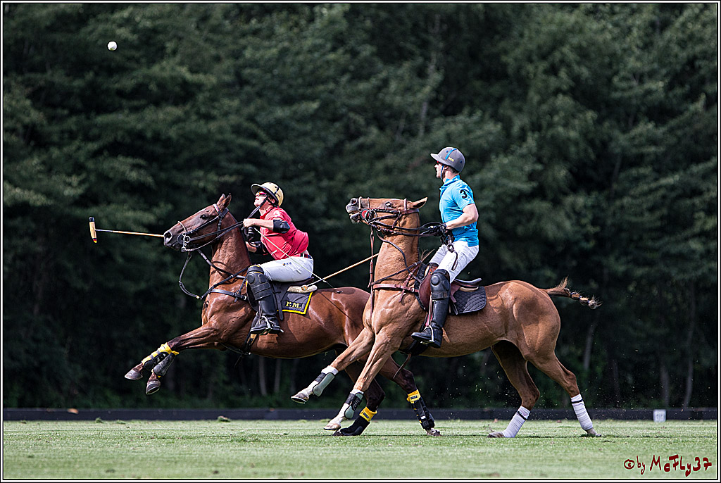 Polo Picknick Muenster 2017, 28.07.2017