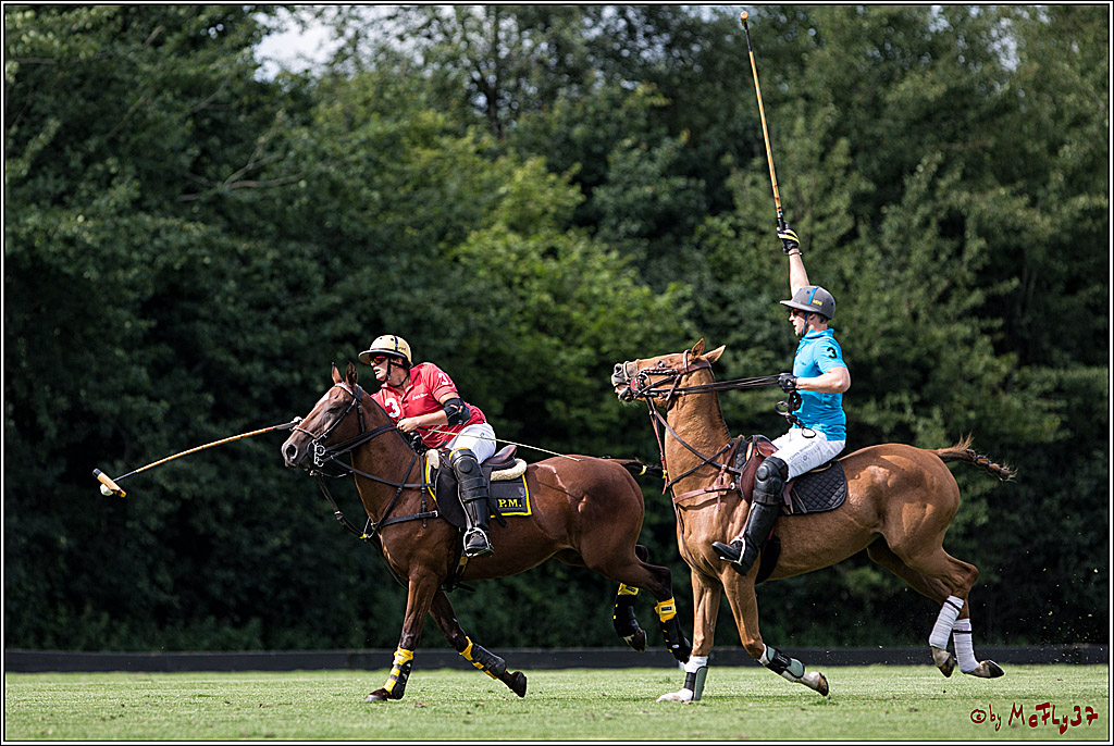 Polo Picknick Muenster 2017, 28.07.2017