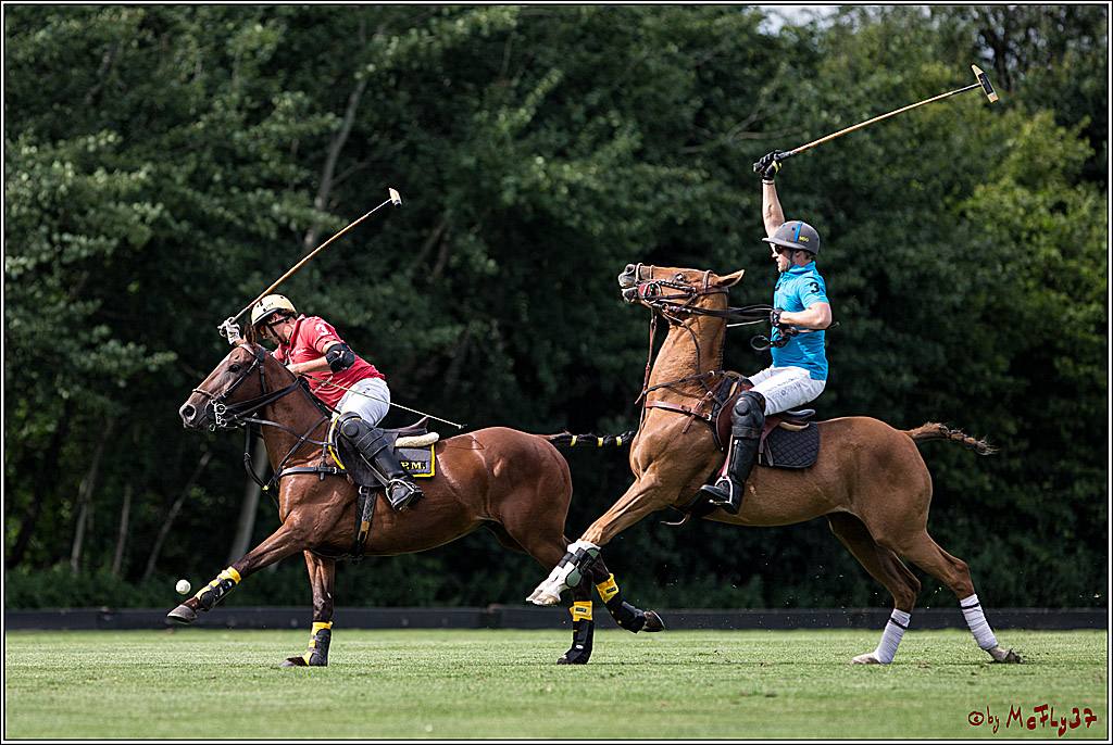 Polo Picknick Muenster 2017, 28.07.2017