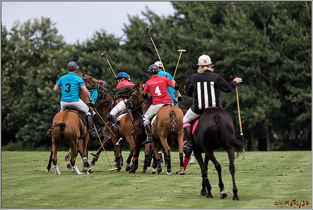 Polo Picknick Muenster 2017, 28.07.2017