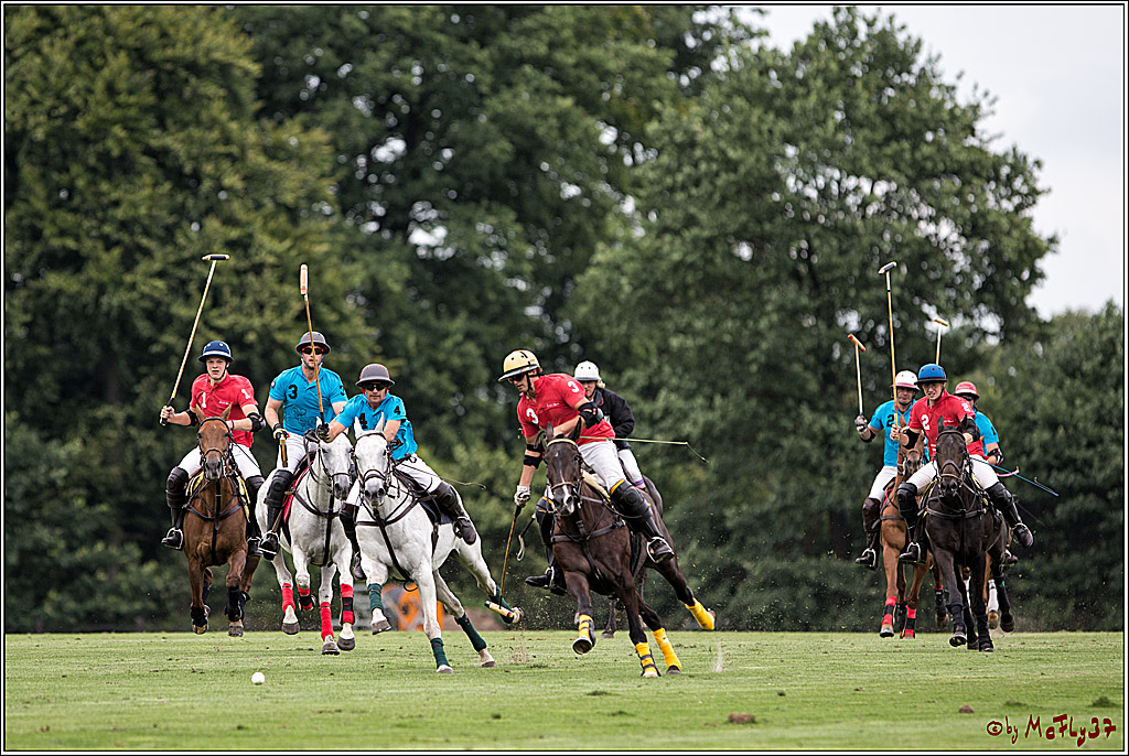 Polo Picknick Muenster 2017, 28.07.2017