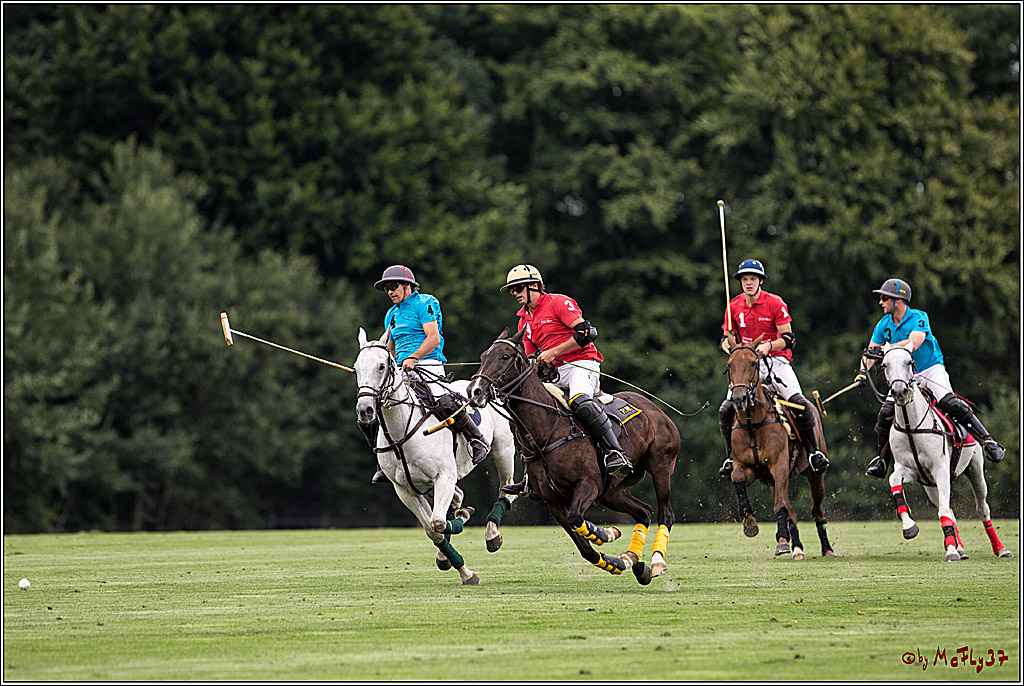 Polo Picknick Muenster 2017, 28.07.2017