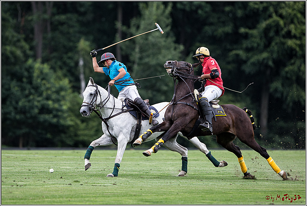Polo Picknick Muenster 2017, 28.07.2017