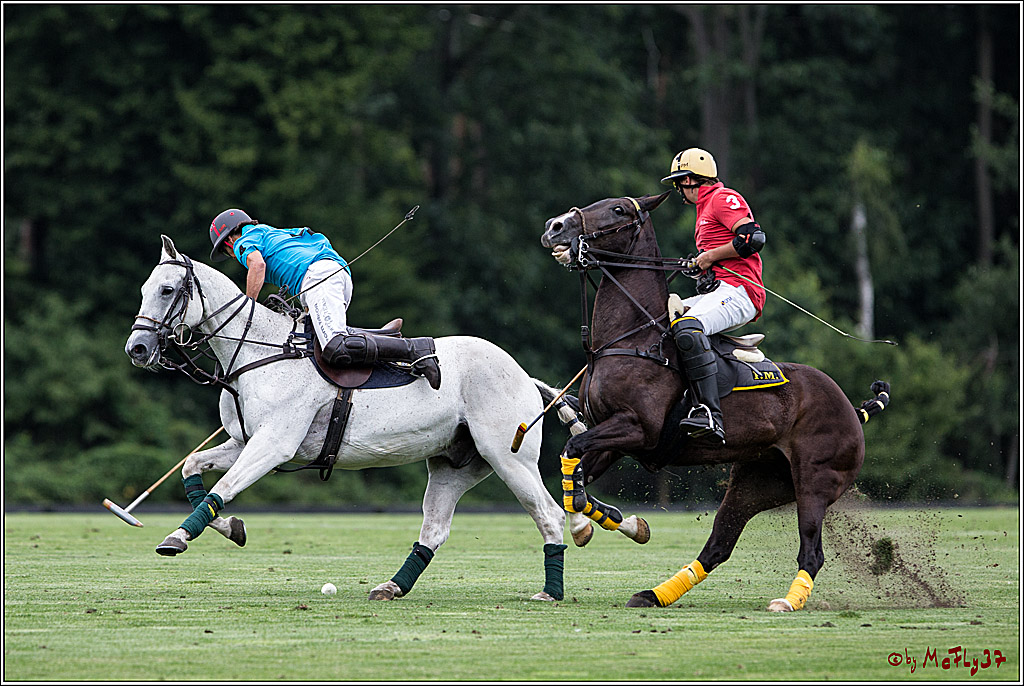 Polo Picknick Muenster 2017, 28.07.2017