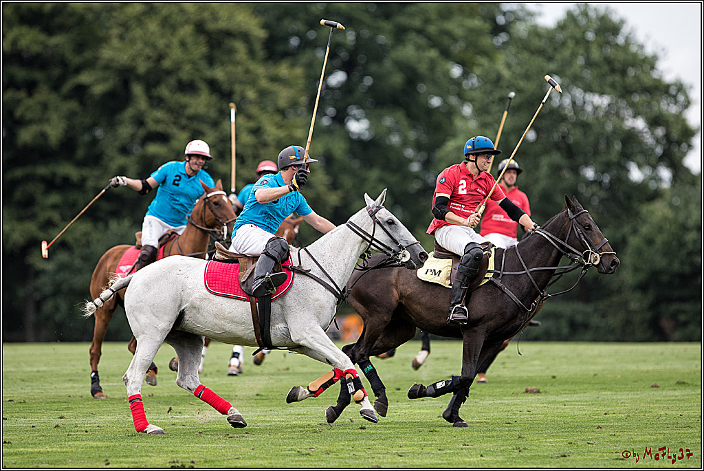 Polo Picknick Muenster 2017, 28.07.2017
