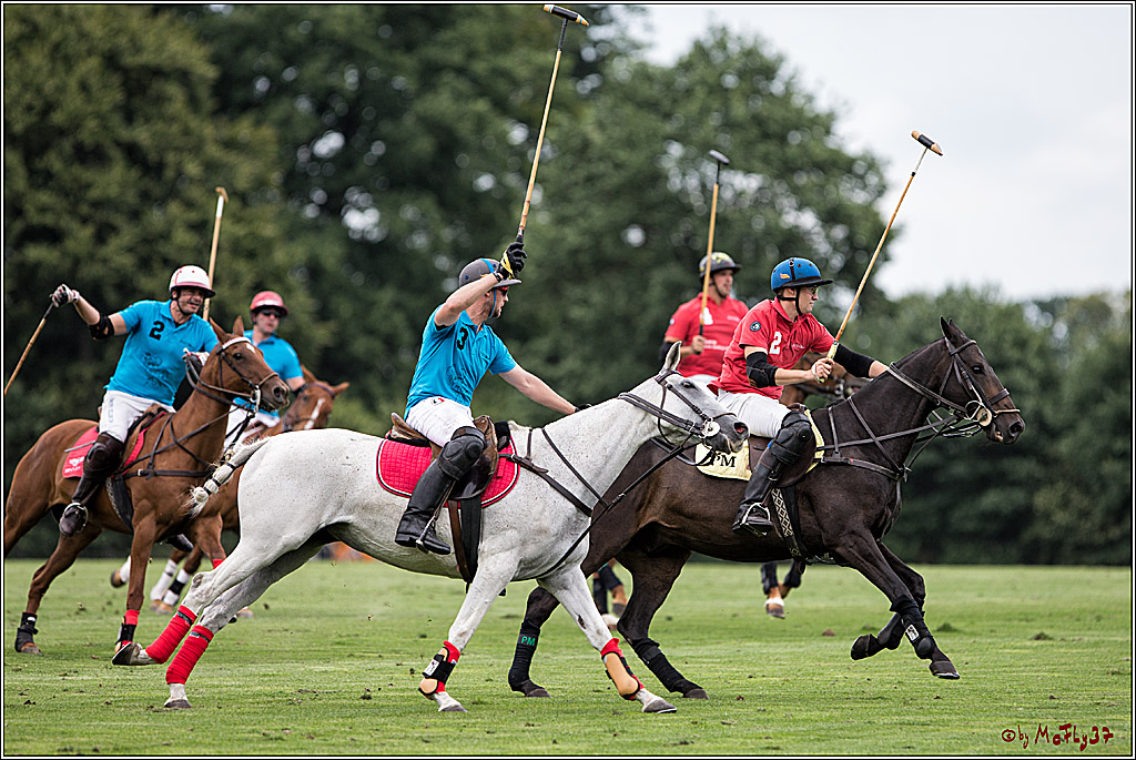 Polo Picknick Muenster 2017, 28.07.2017