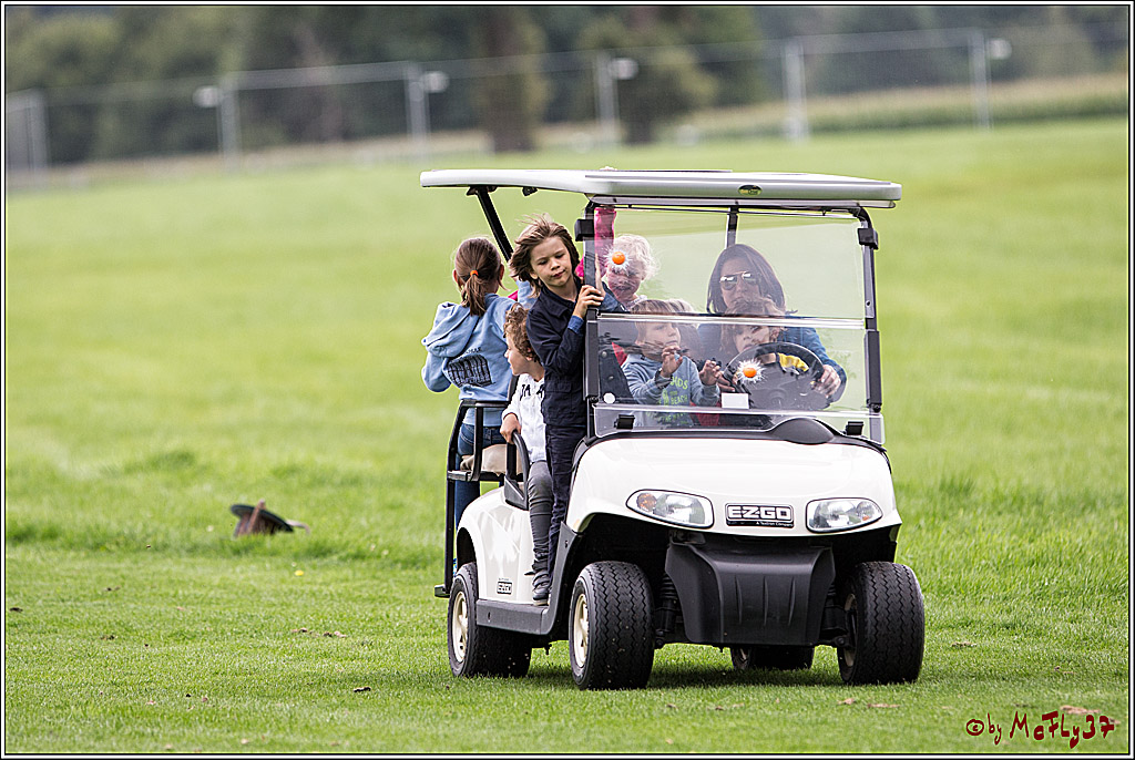 Polo Picknick Muenster 2017, 28.07.2017