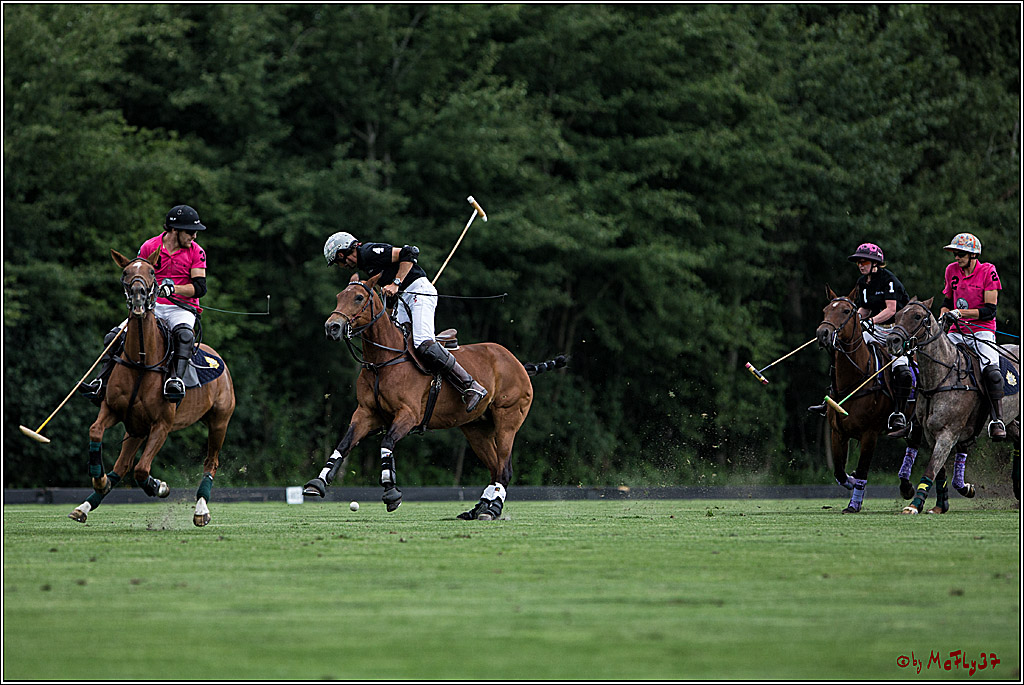 Polo Picknick Muenster 2017, 28.07.2017