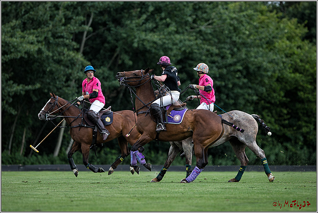 Polo Picknick Muenster 2017, 28.07.2017