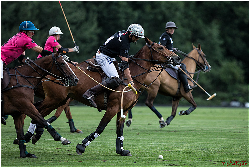 Polo Picknick Muenster 2017, 28.07.2017
