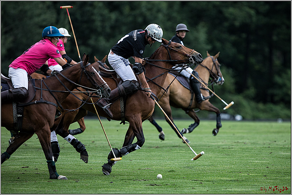 Polo Picknick Muenster 2017, 28.07.2017