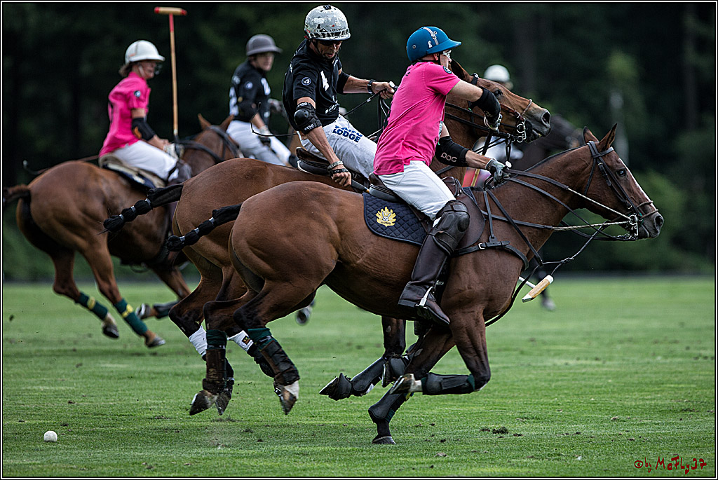 Polo Picknick Muenster 2017, 28.07.2017