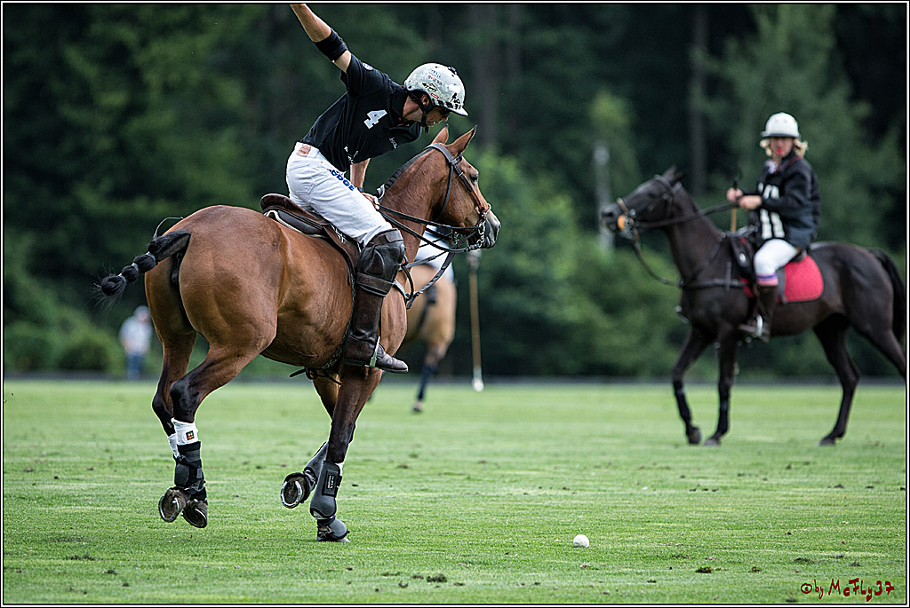 Polo Picknick Muenster 2017, 28.07.2017