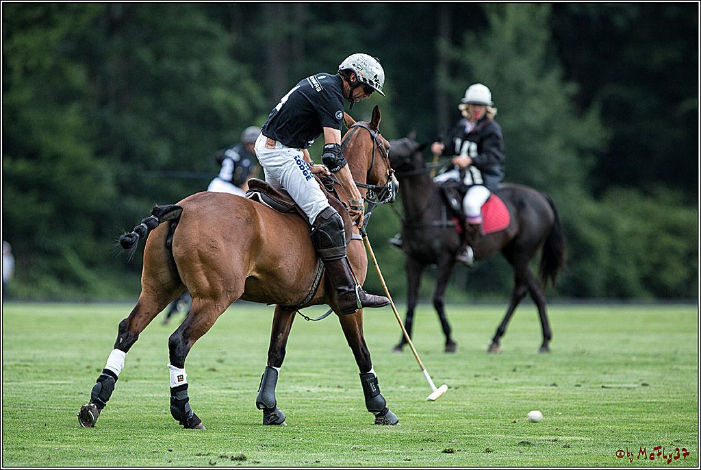 Polo Picknick Muenster 2017, 28.07.2017