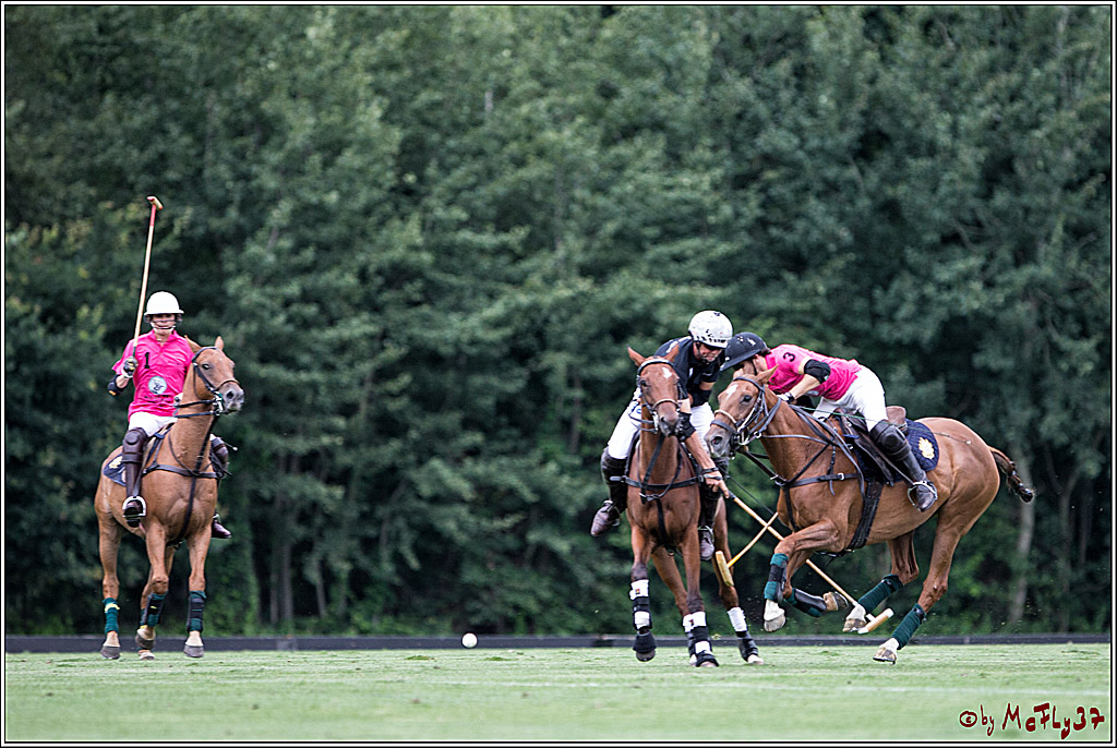 Polo Picknick Muenster 2017, 28.07.2017