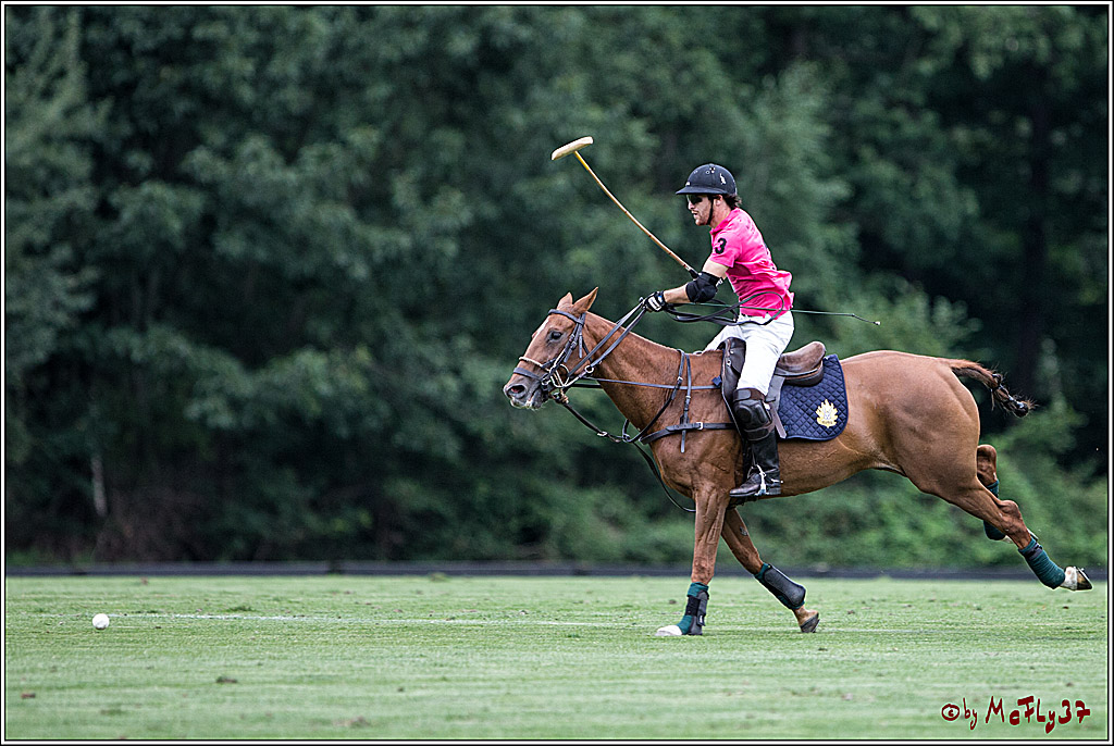 Polo Picknick Muenster 2017, 28.07.2017