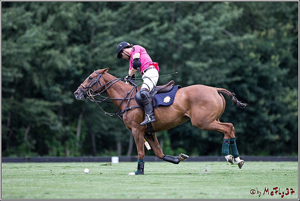 Polo Picknick Muenster 2017, 28.07.2017