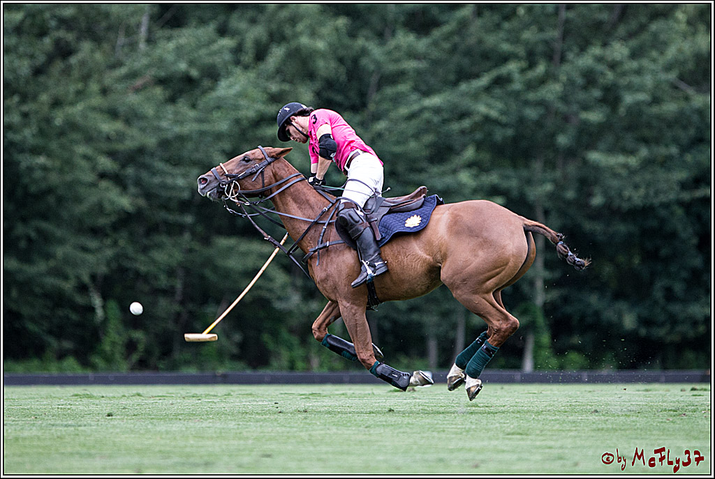 Polo Picknick Muenster 2017, 28.07.2017