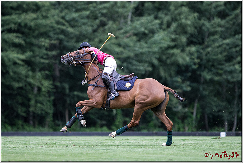 Polo Picknick Muenster 2017, 28.07.2017