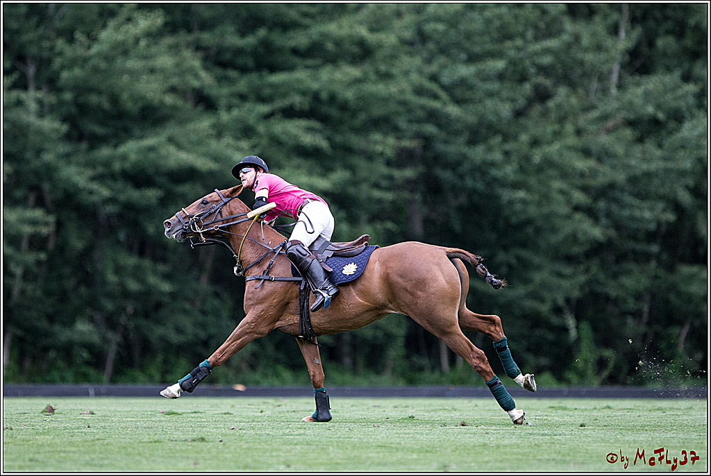 Polo Picknick Muenster 2017, 28.07.2017