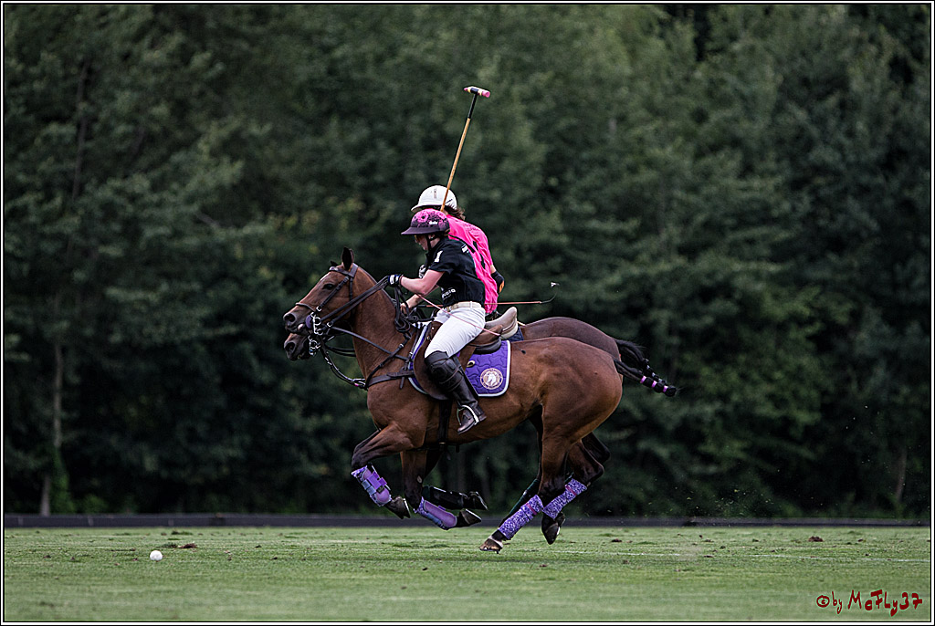 Polo Picknick Muenster 2017, 28.07.2017