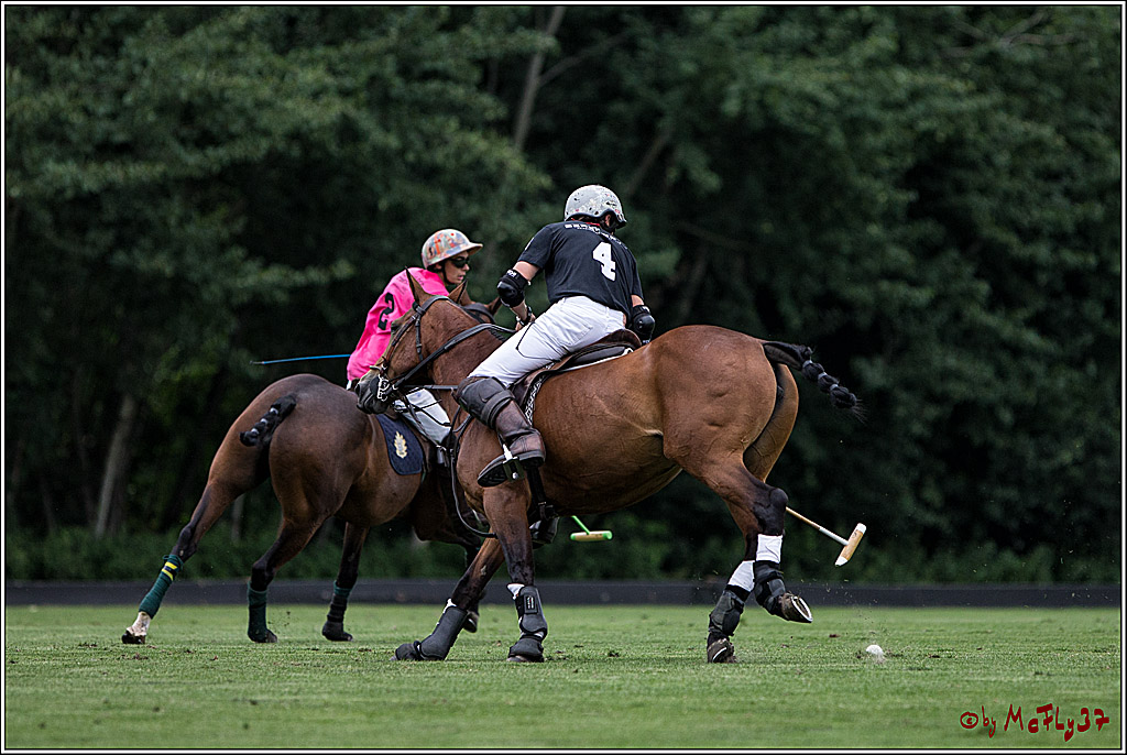 Polo Picknick Muenster 2017, 28.07.2017