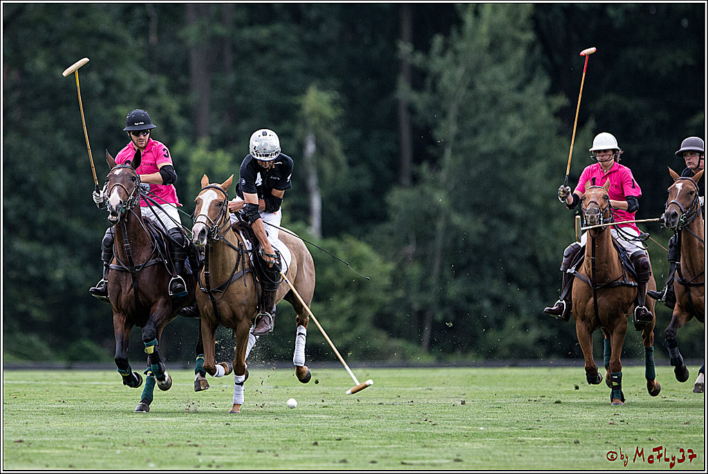 Polo Picknick Muenster 2017, 28.07.2017