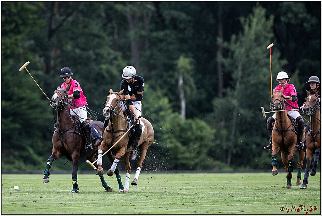 Polo Picknick Muenster 2017, 28.07.2017
