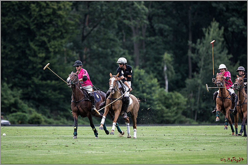 Polo Picknick Muenster 2017, 28.07.2017