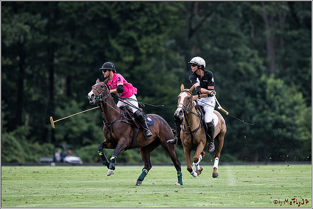 Polo Picknick Muenster 2017, 28.07.2017