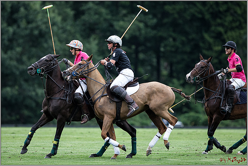 Polo Picknick Muenster 2017, 28.07.2017