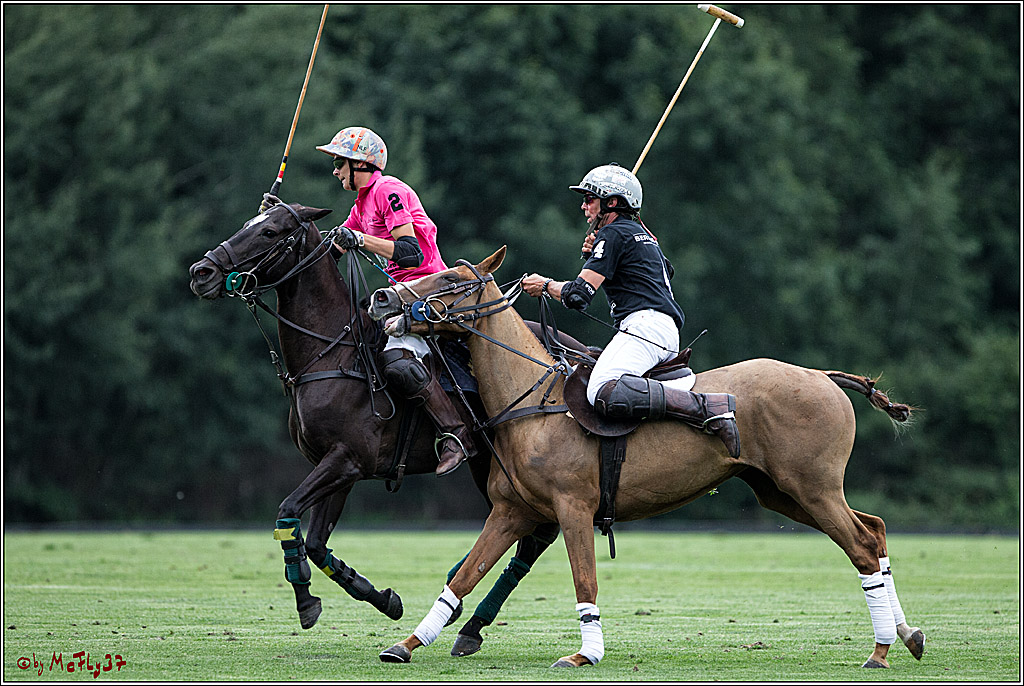 Polo Picknick Muenster 2017, 28.07.2017