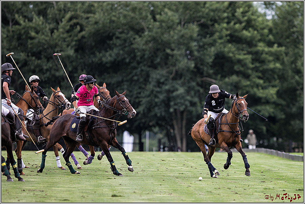 Polo Picknick Muenster 2017, 28.07.2017