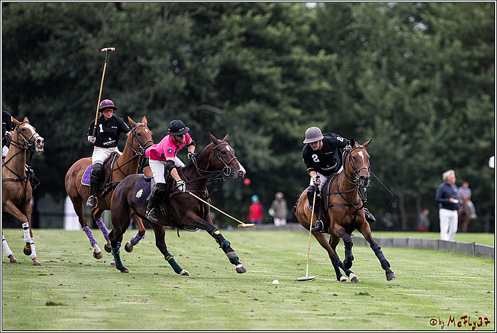 Polo Picknick Muenster 2017, 28.07.2017