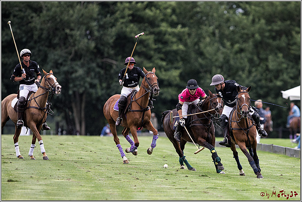 Polo Picknick Muenster 2017, 28.07.2017