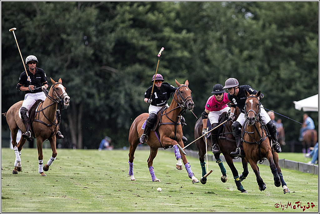 Polo Picknick Muenster 2017, 28.07.2017