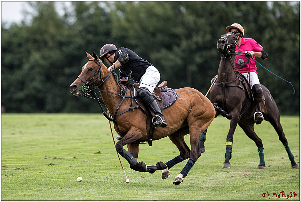 Polo Picknick Muenster 2017, 28.07.2017