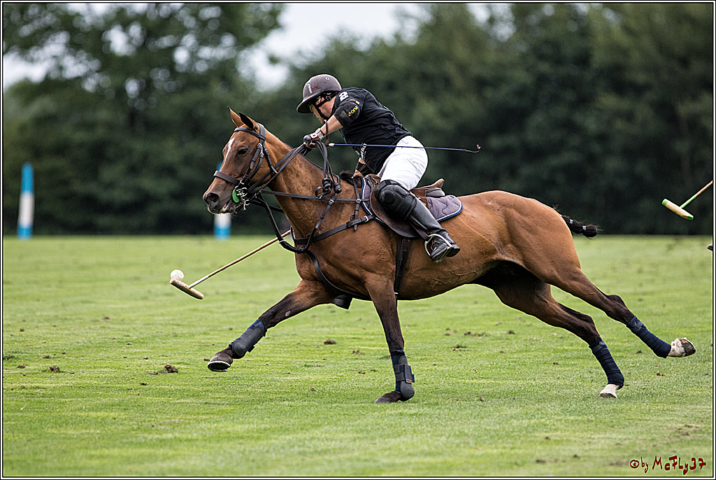 Polo Picknick Muenster 2017, 28.07.2017