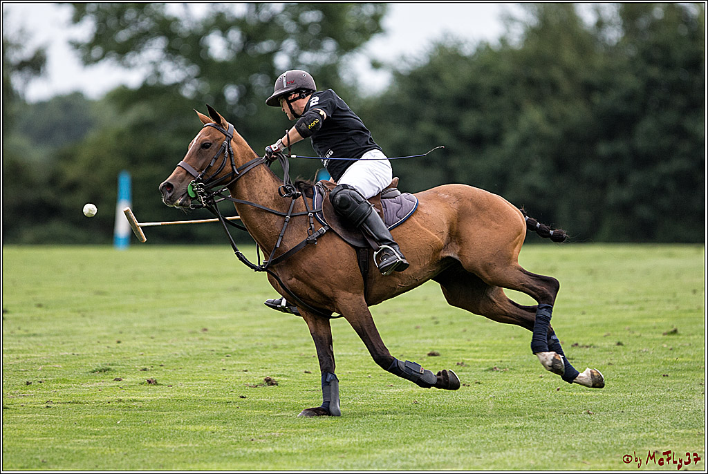 Polo Picknick Muenster 2017, 28.07.2017