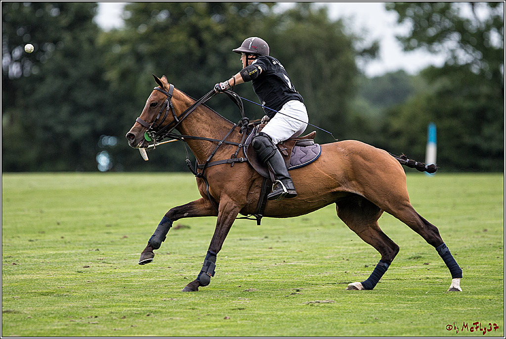 Polo Picknick Muenster 2017, 28.07.2017