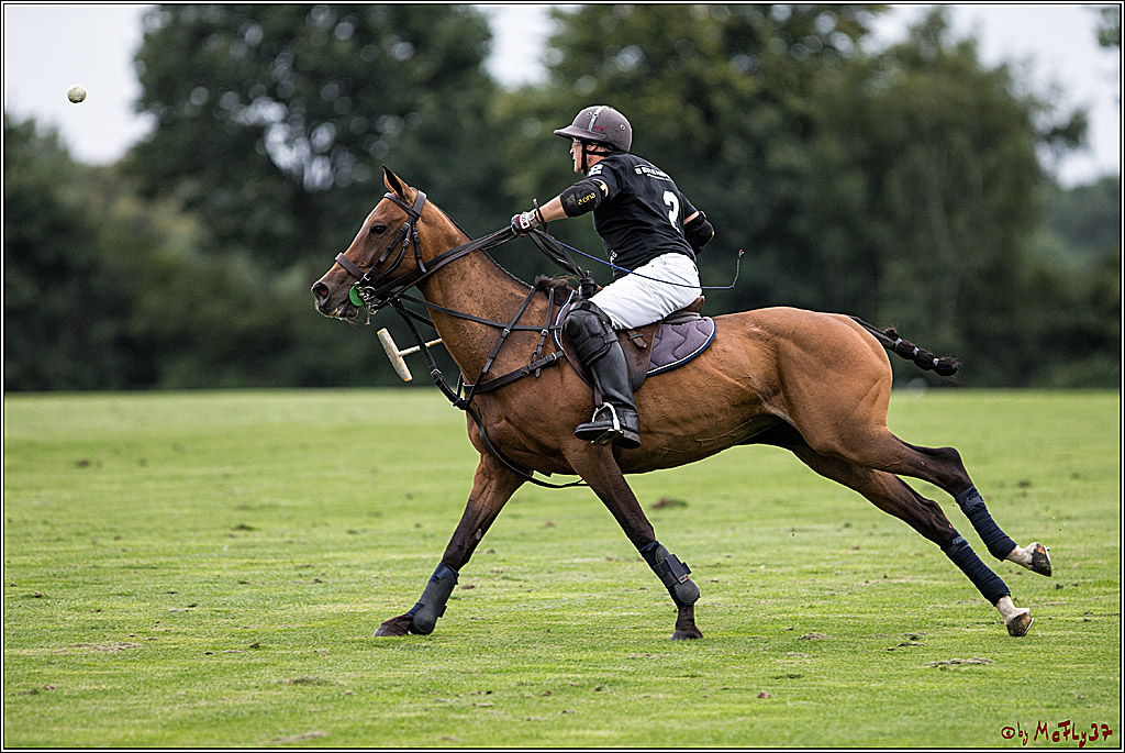 Polo Picknick Muenster 2017, 28.07.2017