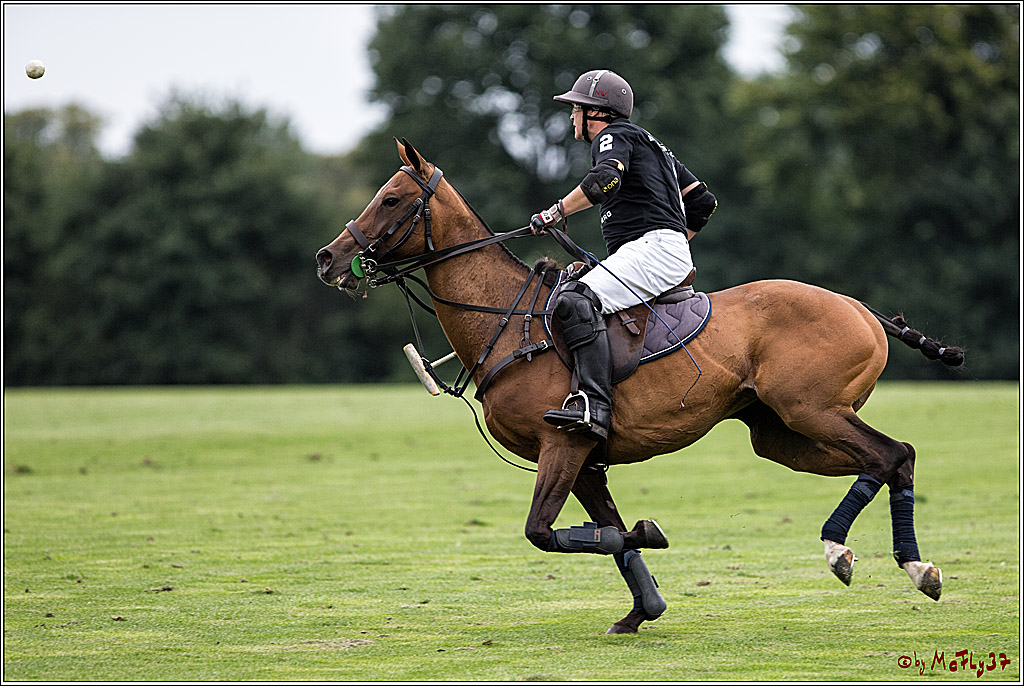 Polo Picknick Muenster 2017, 28.07.2017